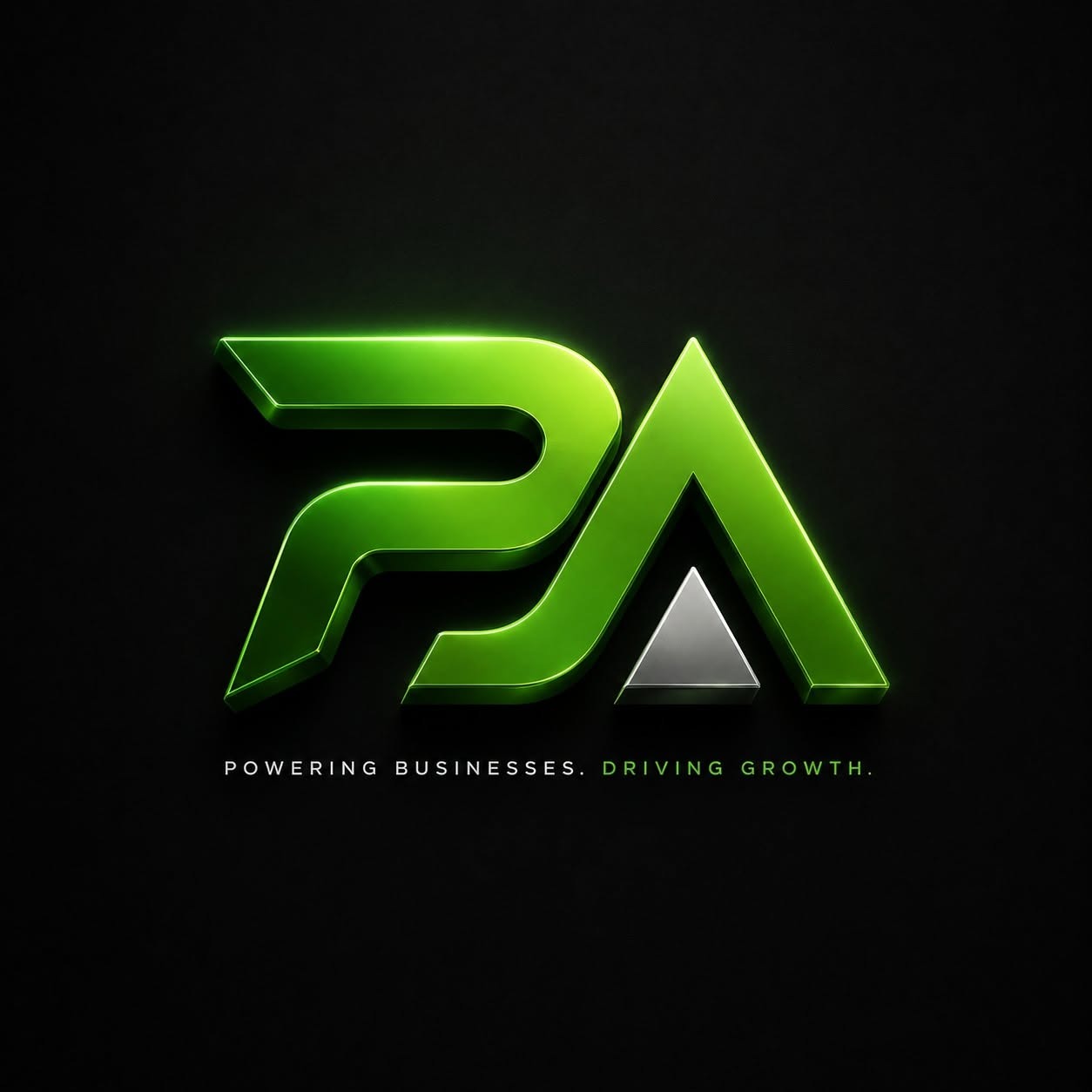 PAYZAAPI logo